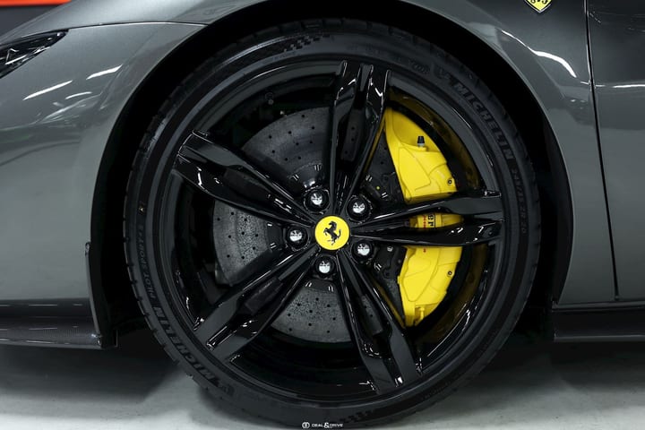 296 GTS (830 CH) - Immat. FR - CANNA DI FUCILE – XPEL — photo 9/15