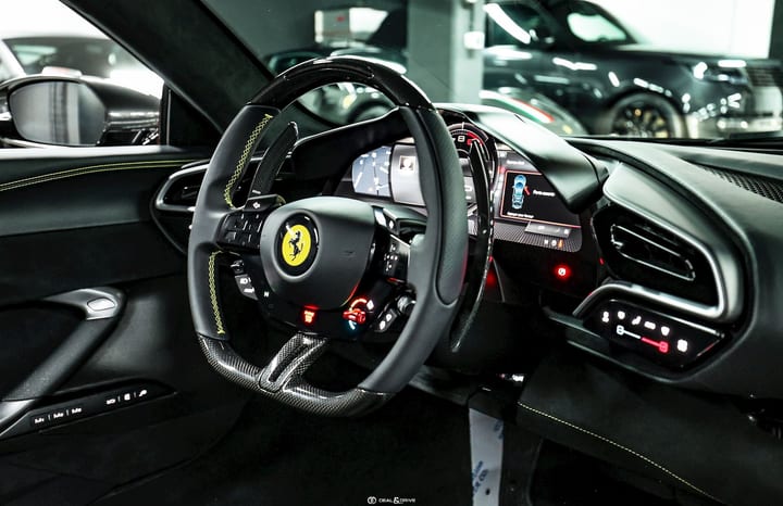 296 GTS (830 CH) - Immat. FR - CANNA DI FUCILE – XPEL — photo 14/15